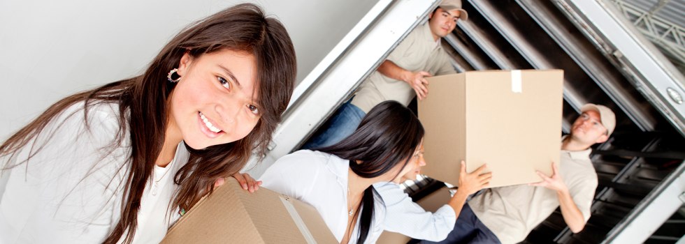Professional Removalists Brandy Hill